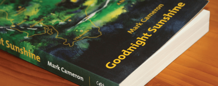 Goodnight Sunshine Book Cover